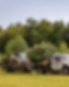 C&C_TREE_SERVICE_IMG_0057.jpg