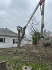C&C Tree Service crew providing tree service in Southern Illinois