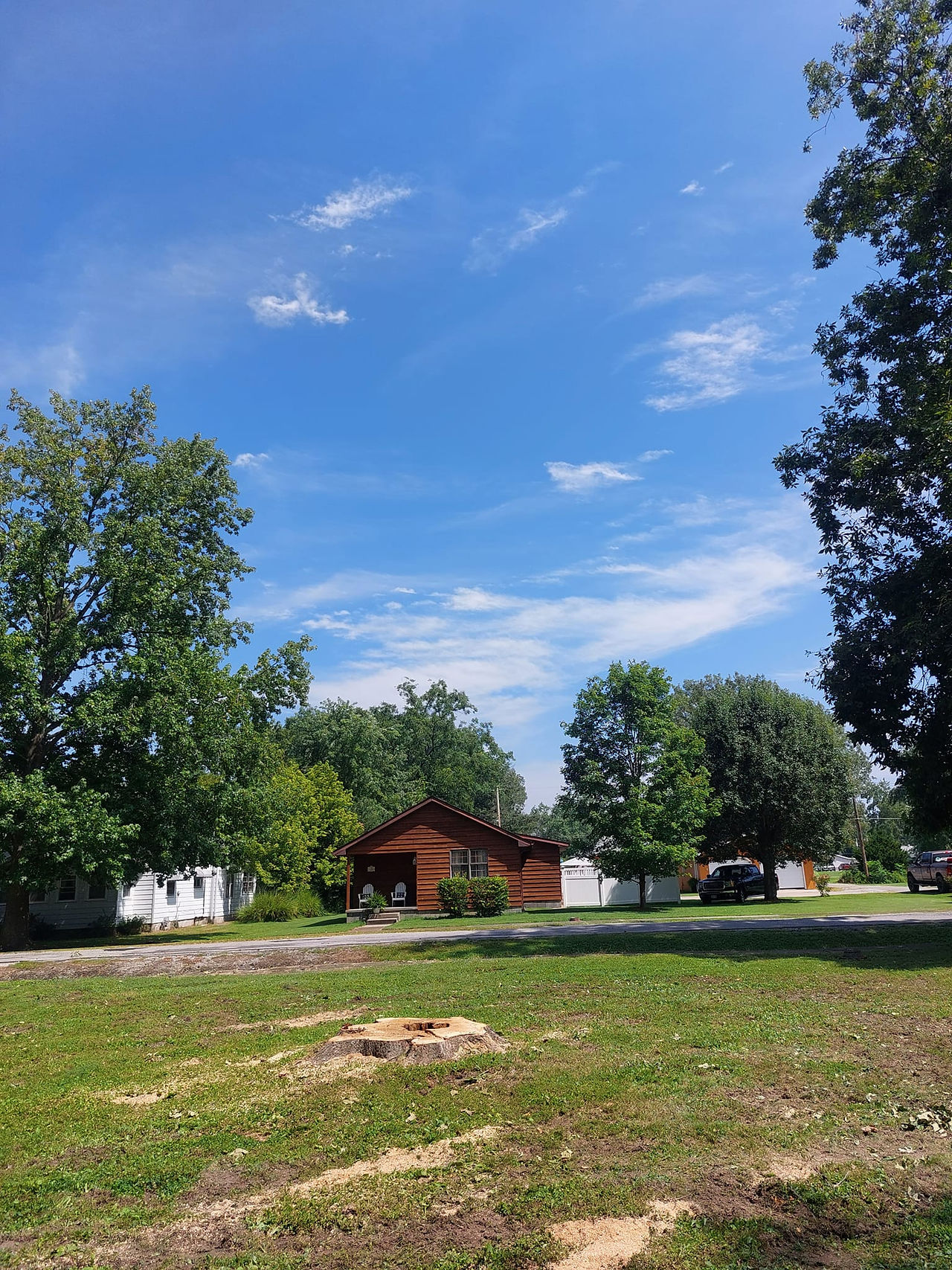 C&C Tree Service working in Williamson County, Southern Illinois
