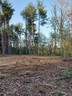 C&C Tree Service Southern Illinois Tree Service and Excavation Dirt Work