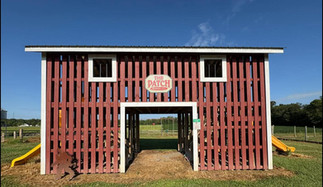 Kids playing in the Kids Zone at The Patch family farm attraction