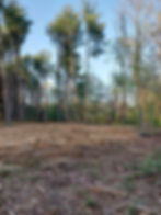 C&C Tree Services Professional tree services and excavation services in Southern Illinois