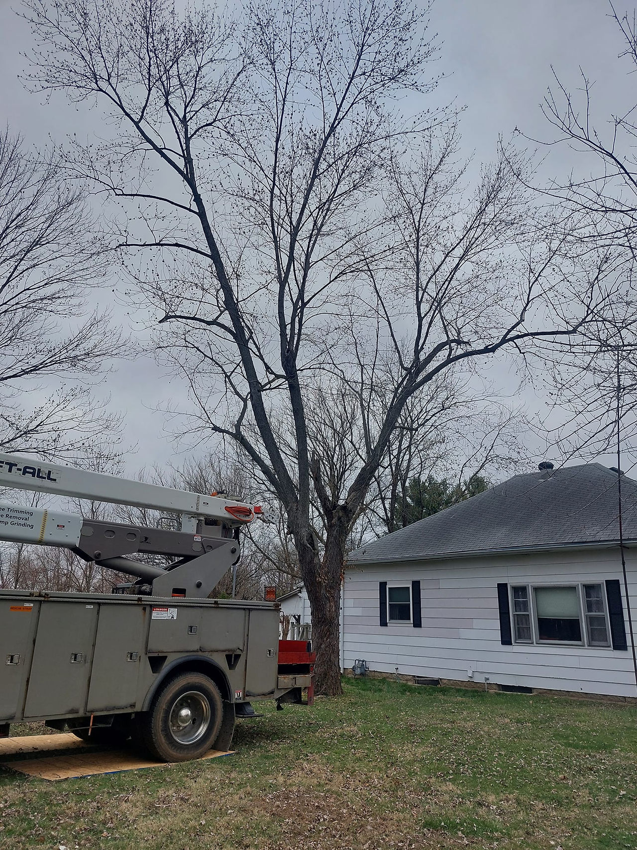 C&C Tree Service crew providing tree service in Southern Illinois