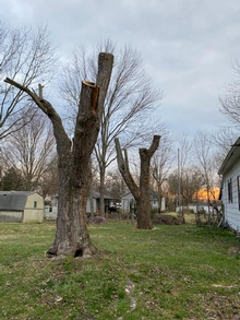 C&C Tree Service crew providing tree service in Southern Illinois