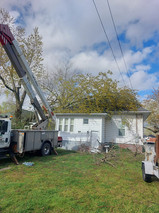 Emergency tree service in Southern Illinois after storm damage