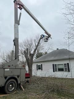 C&C Tree Service crew providing tree service in Southern Illinois