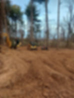 C&C Tree Services Professional tree services and excavation services in Southern Illinois