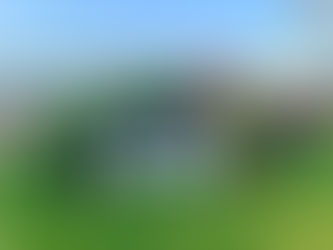 Ferns and seasonal spring plants available at The Patch