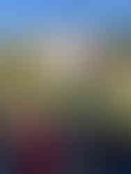 Pumpkin life cycle lesson during a school field trip at The Patch