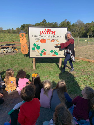 Pumpkin life cycle lesson during a school field trip at The Patch