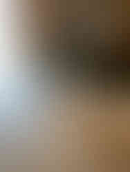 Christmas trees and holiday greenery available at The Patch