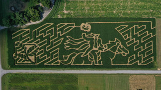 Corn maze at The Patch pumpkin patch in Southern Illinois