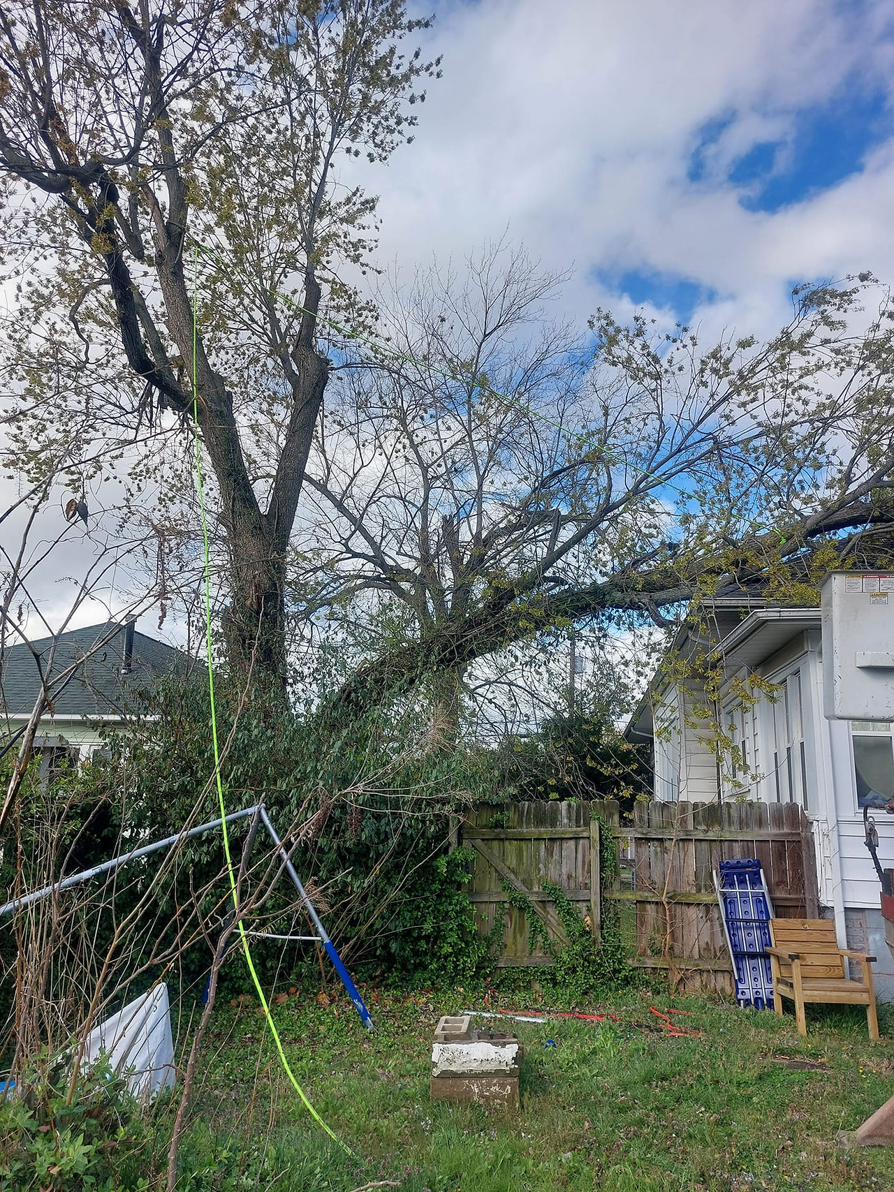 Emergency tree service in Southern Illinois after storm damage