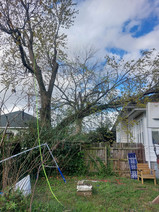 Emergency tree service in Southern Illinois after storm damage