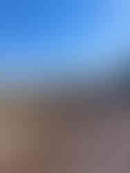 C&C Tree Service crew providing tree service in Southern Illinois