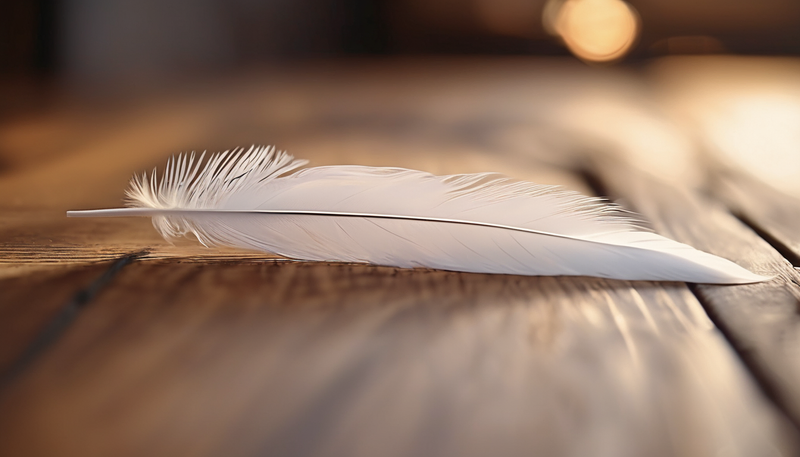 Feder, Zeichen der geistigen Welt.