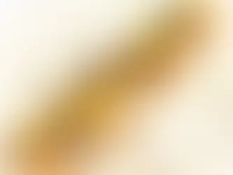 Descubre el mejor servicio de catering en Barcelona para tus eventos.