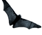 Swooping%20Bat%20_edited.png