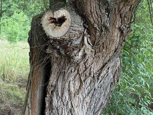 JAK BÝT S MÁMOU 🌷