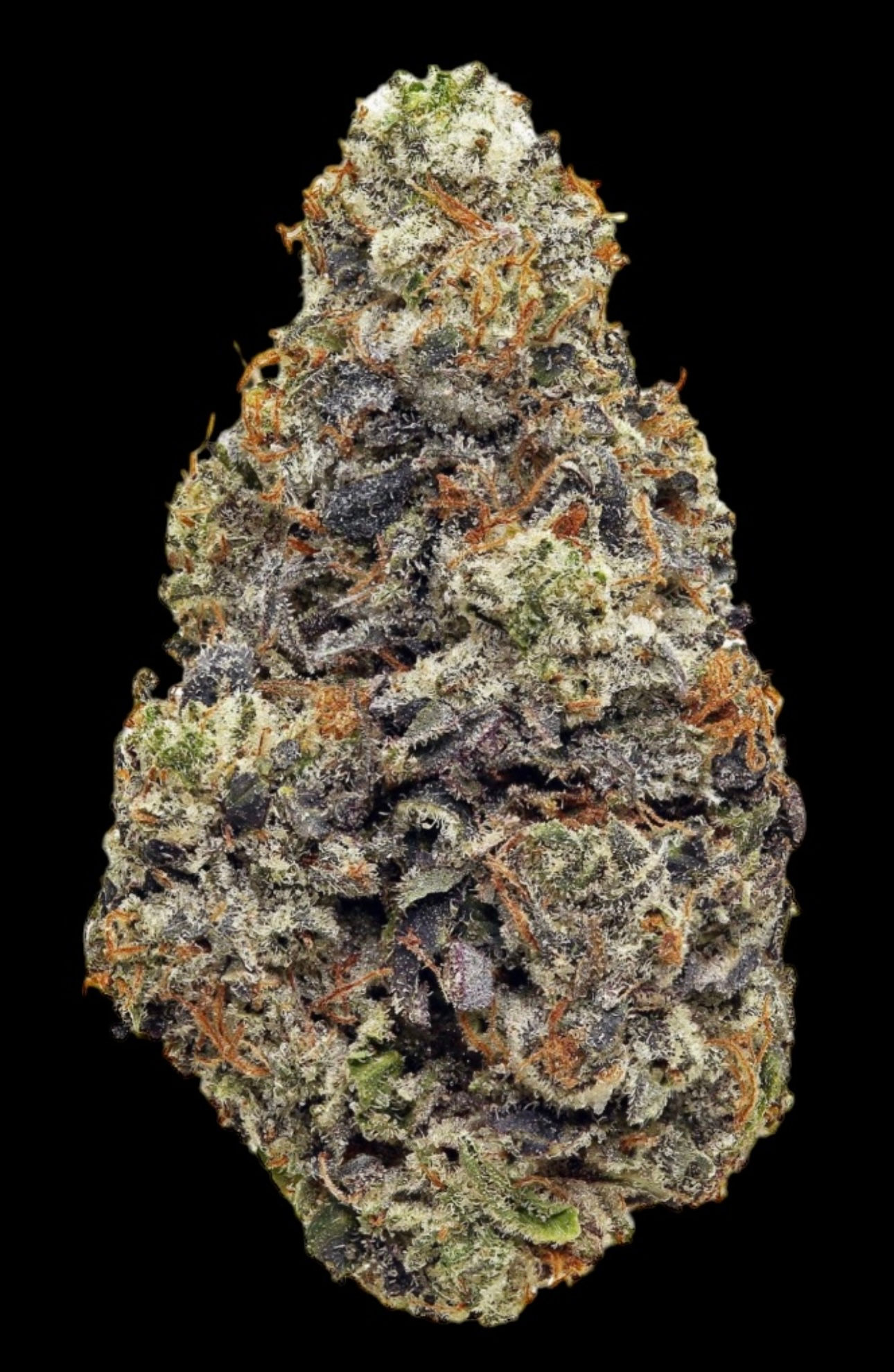 MOCHI GELATO PINK 🍦 (LOT#8013)