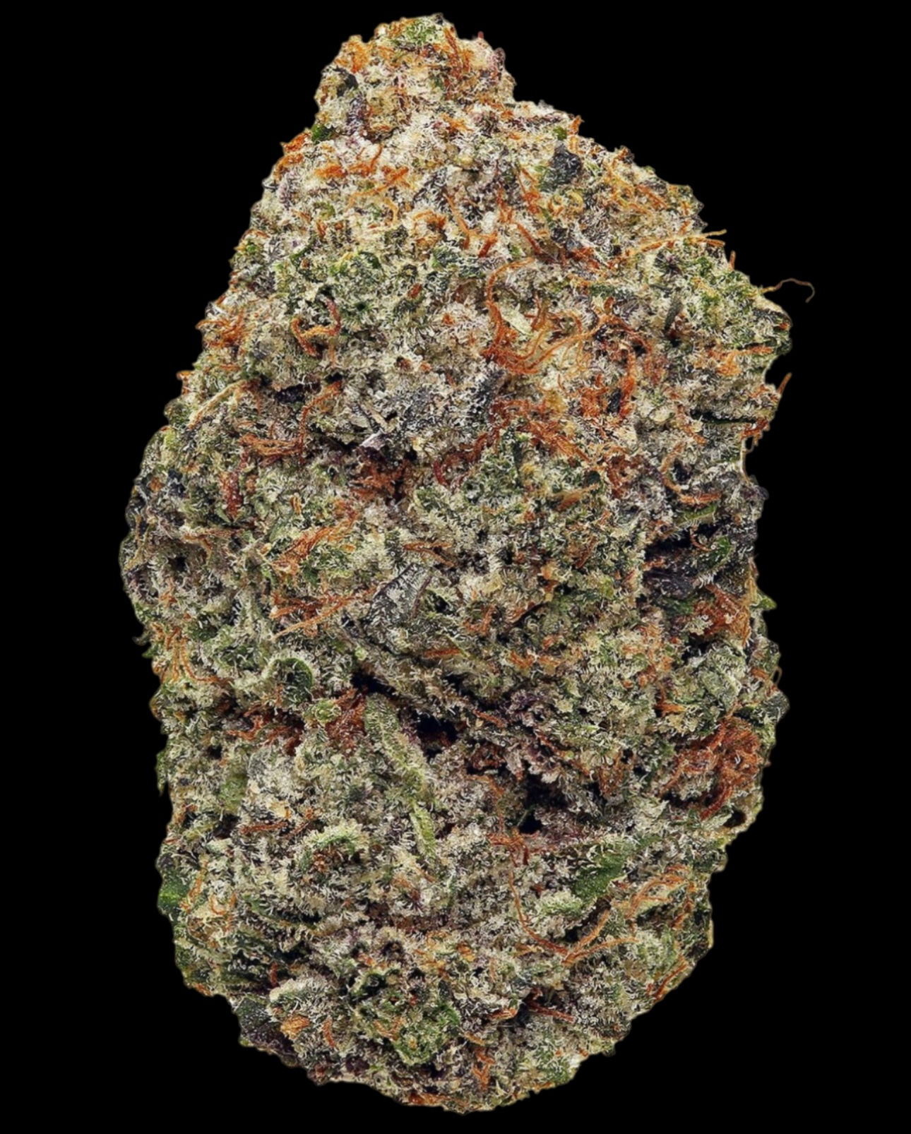 BLACK FIYA 🔥 (LOT#0088)