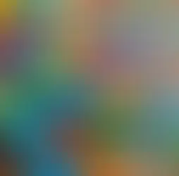 Uncovering the Secrets to Enriching Elderly Lives at Home through Social Activities