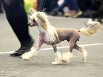 Västerås Nat.