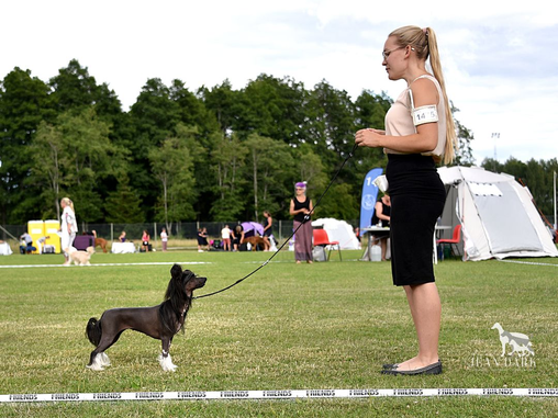 Champion at her first try