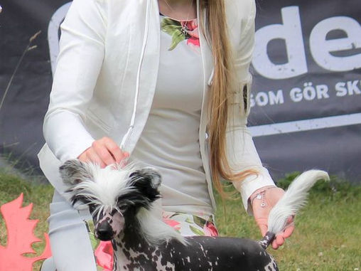 Results from Norway and Sweden