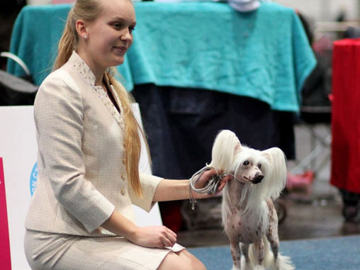 World Winner 2017 & German Winner