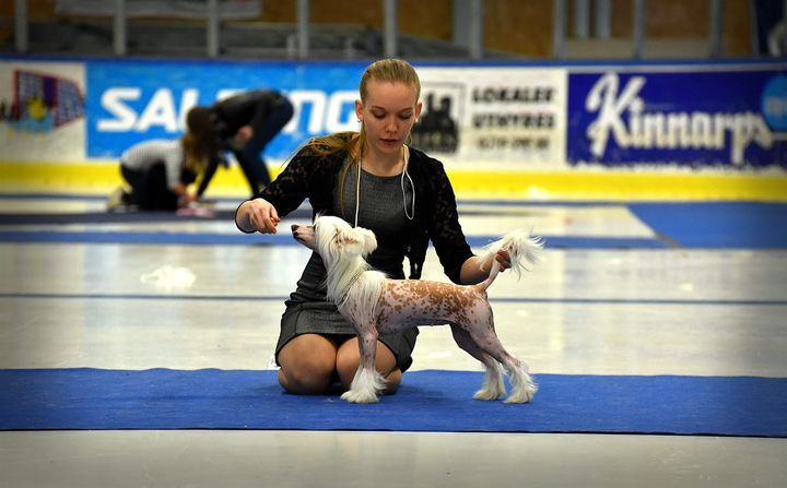 13320607_10209059721243933_7070342088510