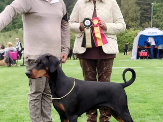 Blandade resultat från olika håll