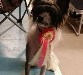 He does it again - BOB!