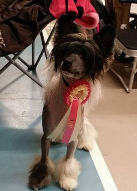 He does it again - BOB!