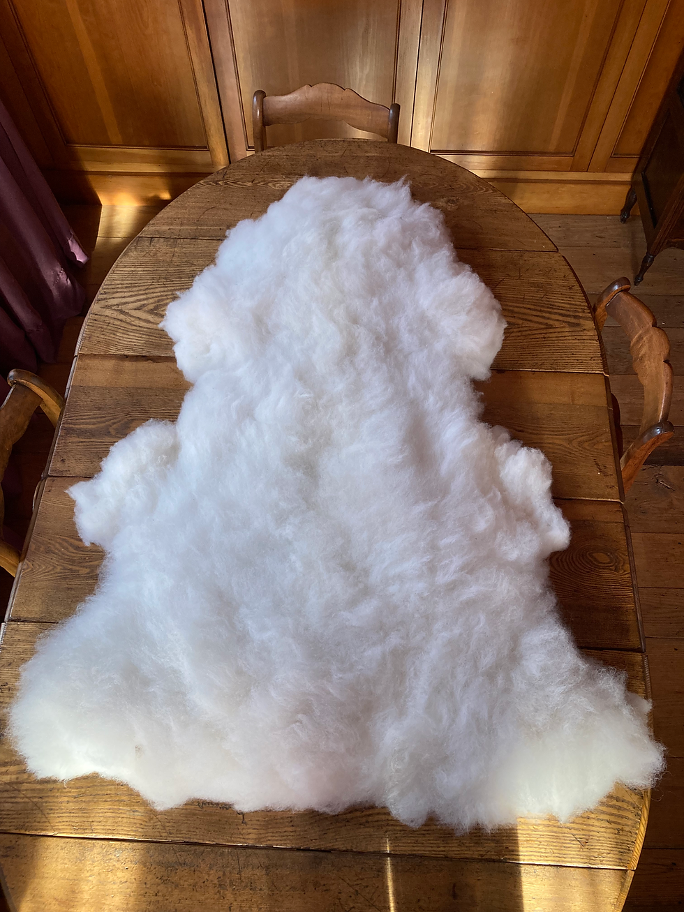 Thumbnail: White-Ivory Sheepskin