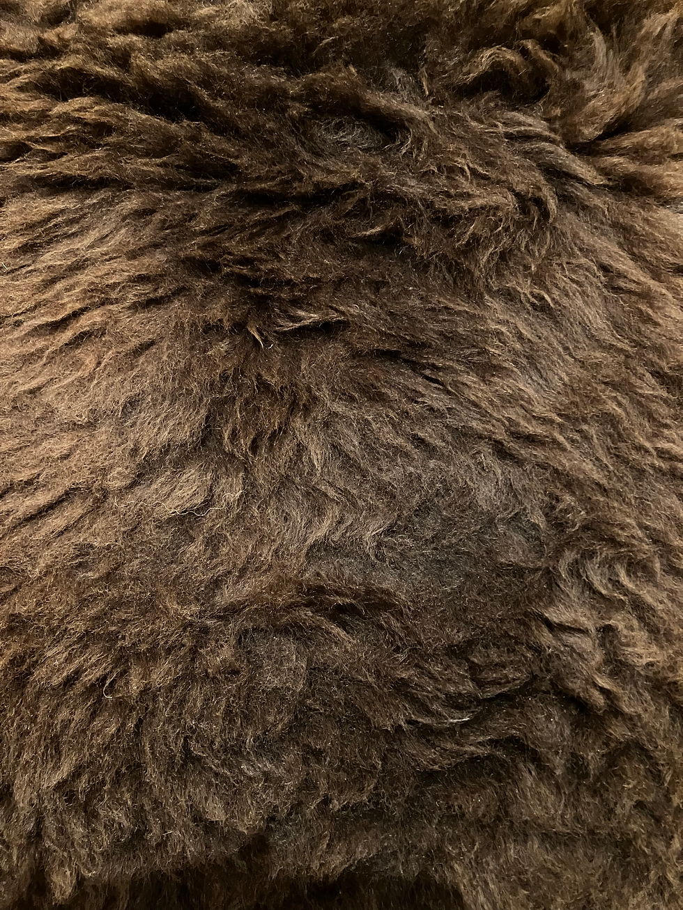 Thumbnail: brown sheepskin detail