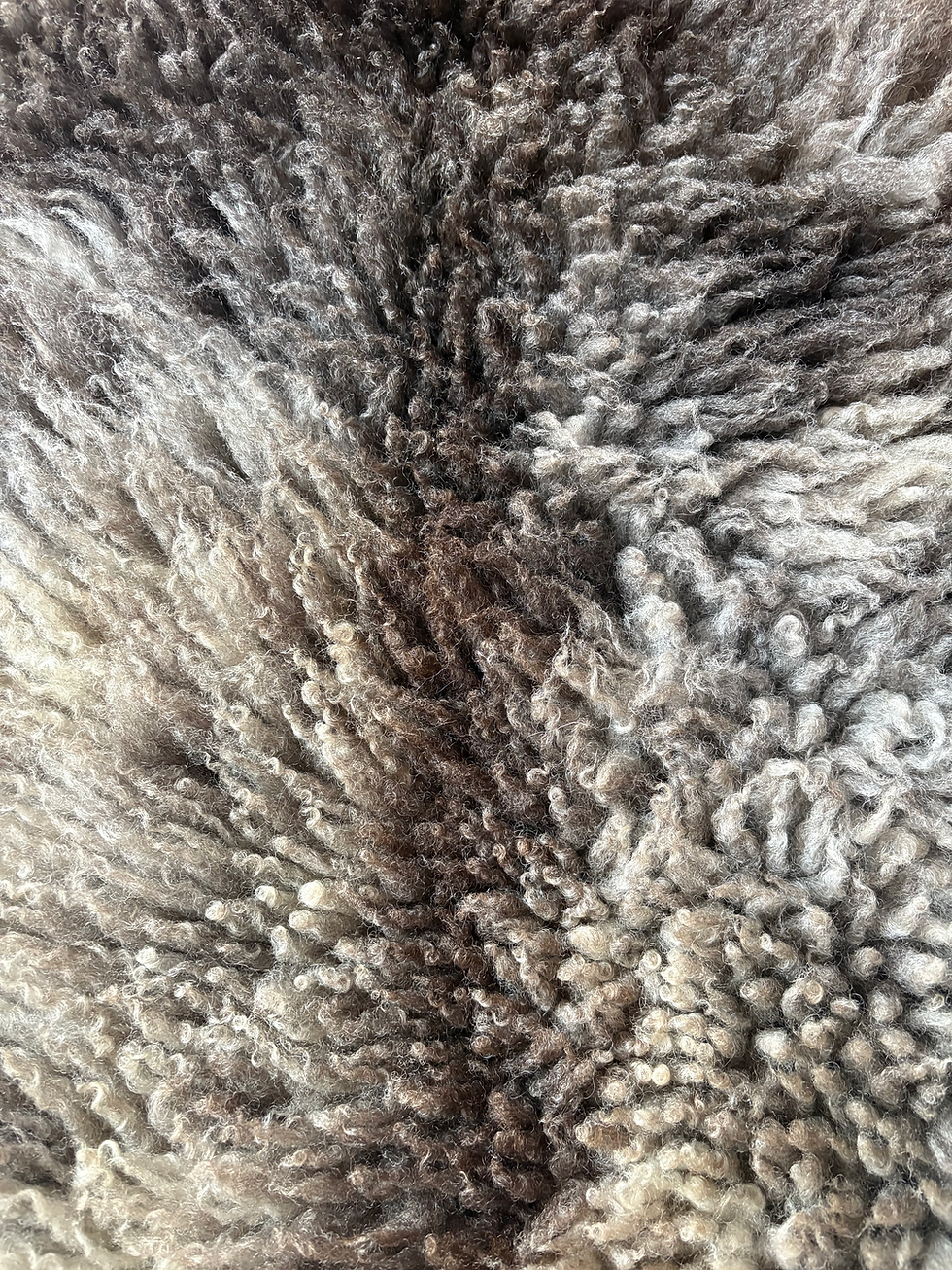 Thumbnail: Grey Multicolored Sheepskins