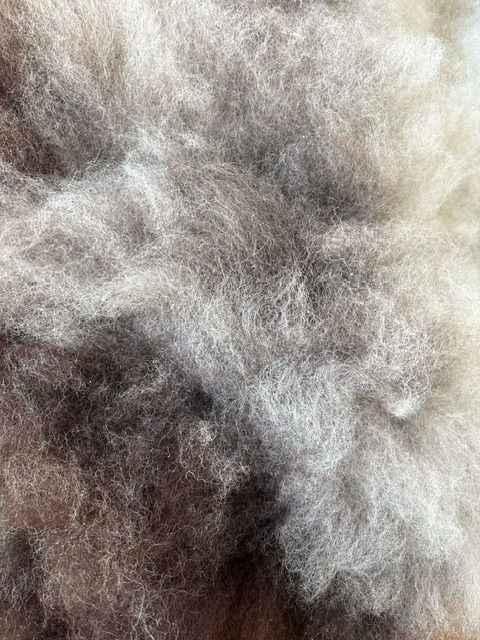 Thumbnail: White Multicolored Sheepskins II