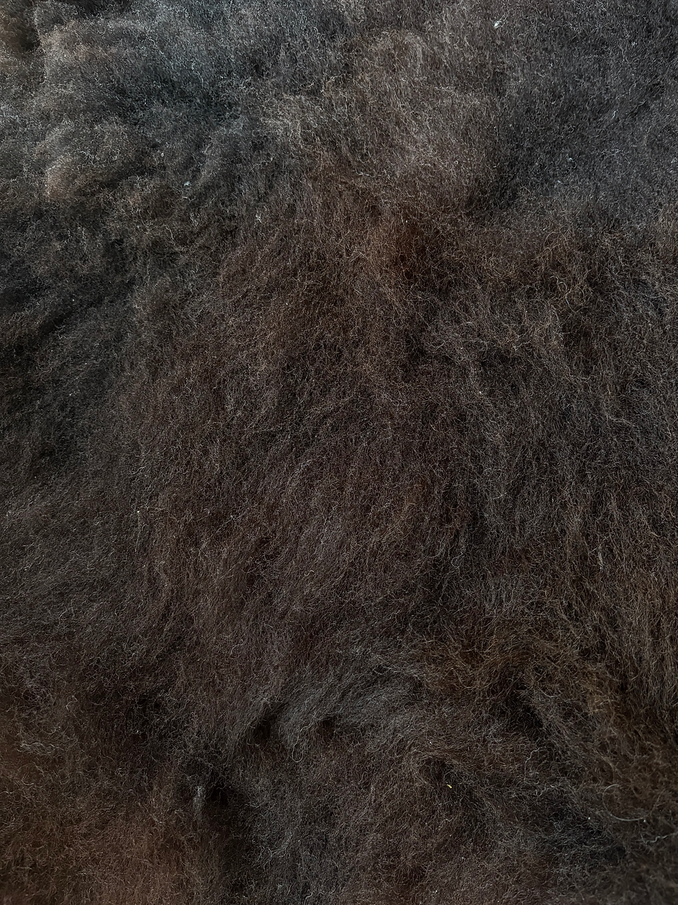 Thumbnail: Dark Brown Sheepskins II