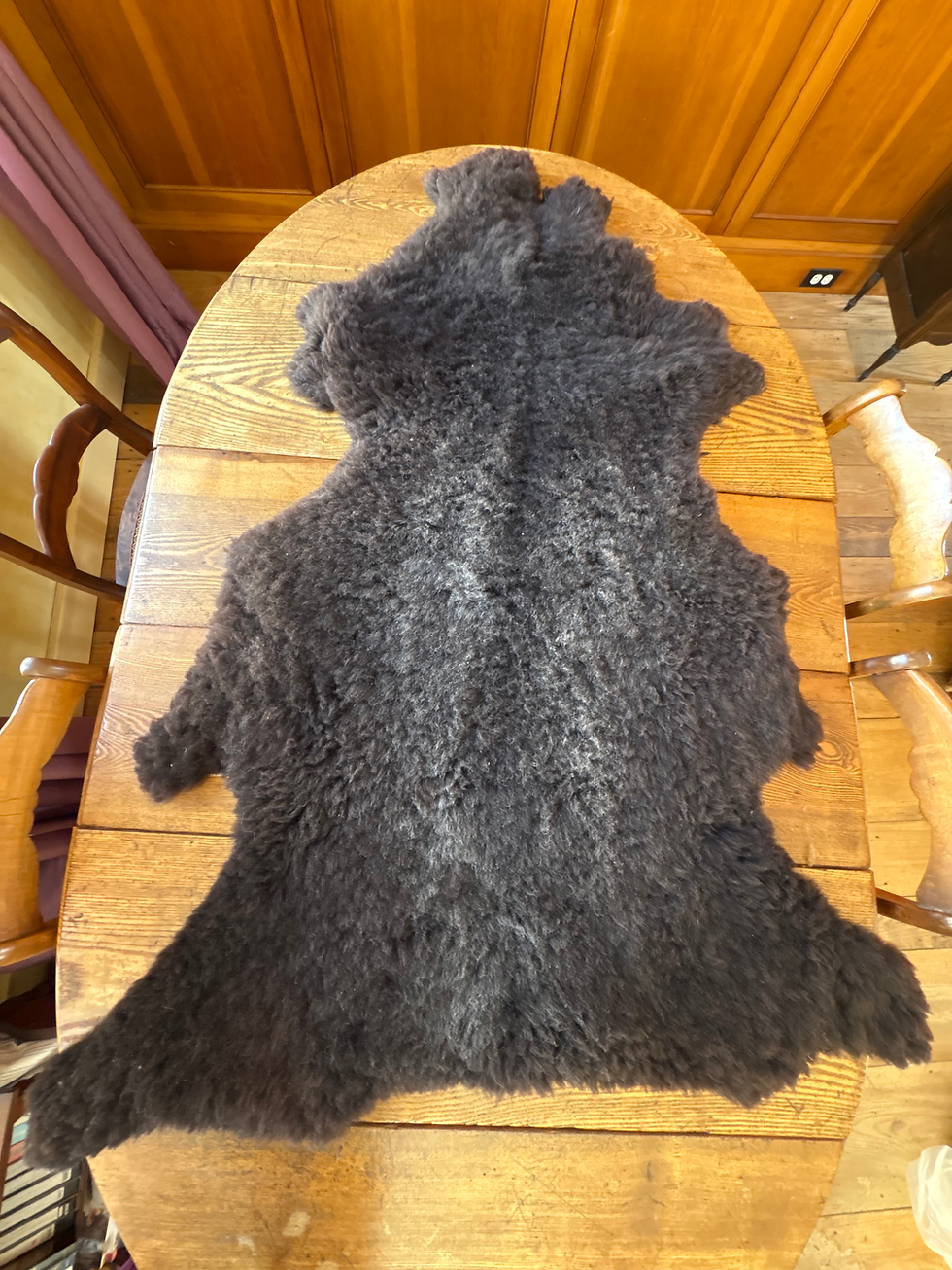 Thumbnail: Dark Brown Sheepskins II