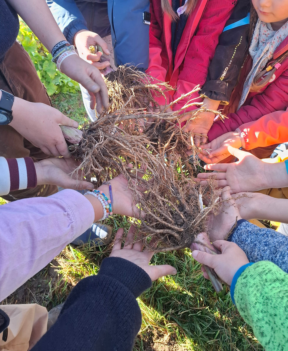 WINAKI, Die wilden Naturkinder im Artemisia Kräutergarten