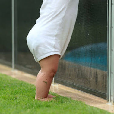 toddler at fence.jpg