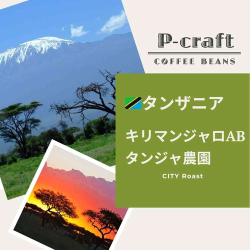 タンザニア キリマンジャロAB | P-craft