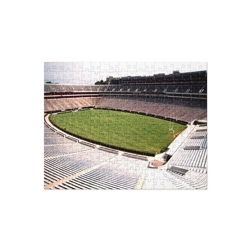 Sanford Stadium Puzzle