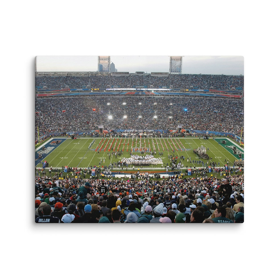 EverBank Stadium Canvas 2