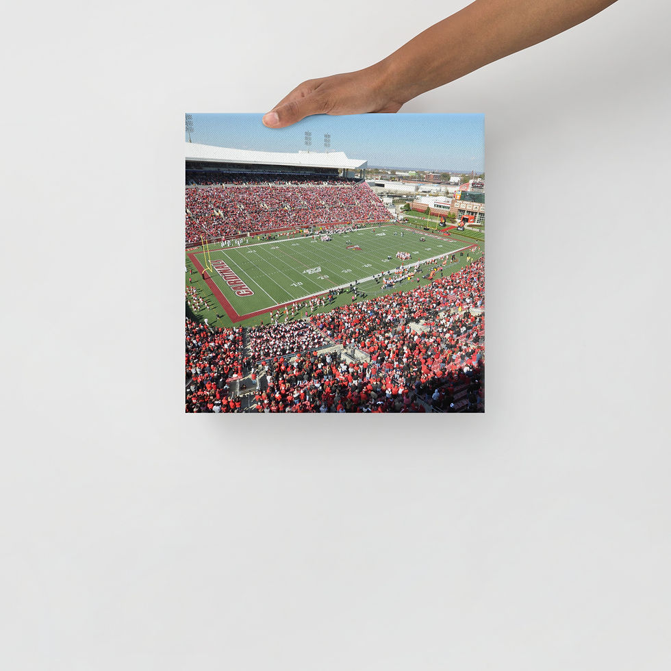 Thumbnail: Louisville Cardinals 2011 Canvas