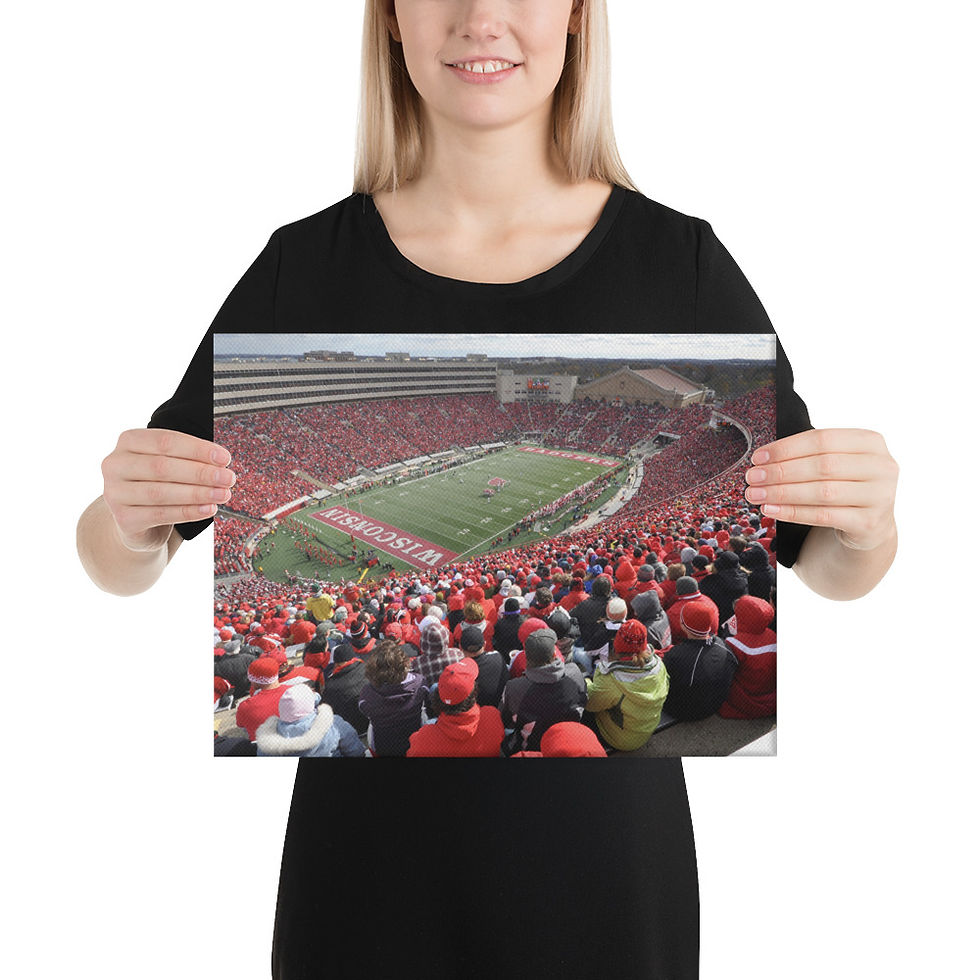 Thumbnail: Wisconsin Badgers 2009 Canvas