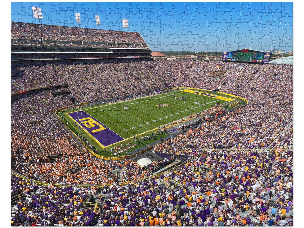 Tigers-Stadium-Puzzle1