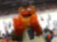 philadelphia-flyers-mascot-gritty