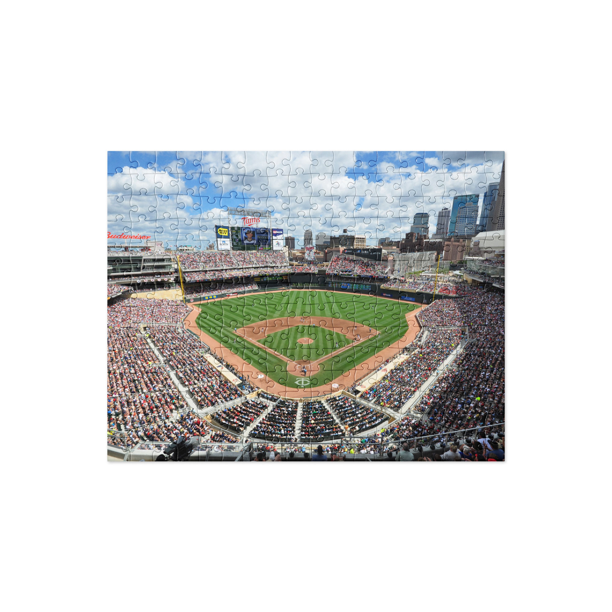 Minnesota Twins 2010 Puzzle
